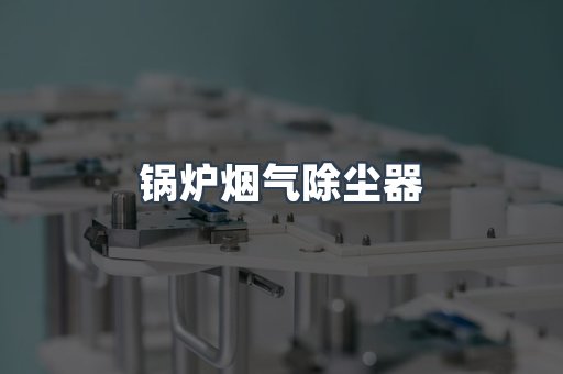 锅炉烟气除尘器