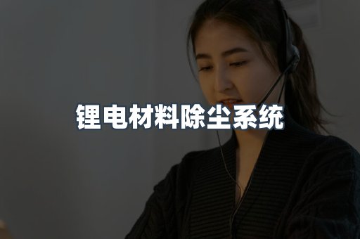 锂电材料除尘系统